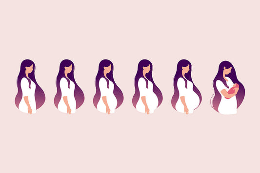What Are The Stages Of Pregnancy?