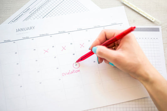 How To Track Ovulation Date